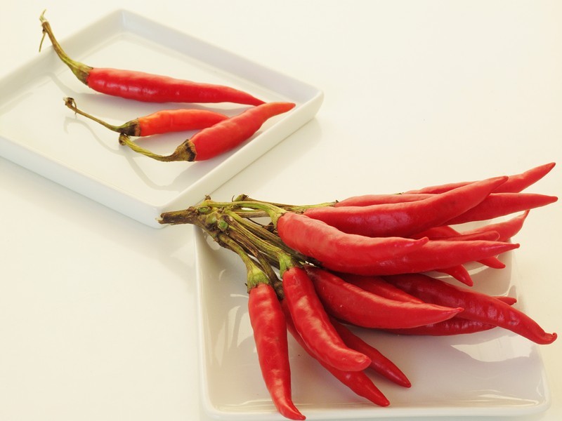 四川正宗老坛泡菜做法教程,第一坛四川泡菜最正宗的做法