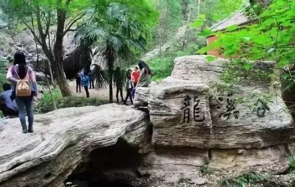 居游大事｜金秋套票正式发售啦！这次两个套票任你选！