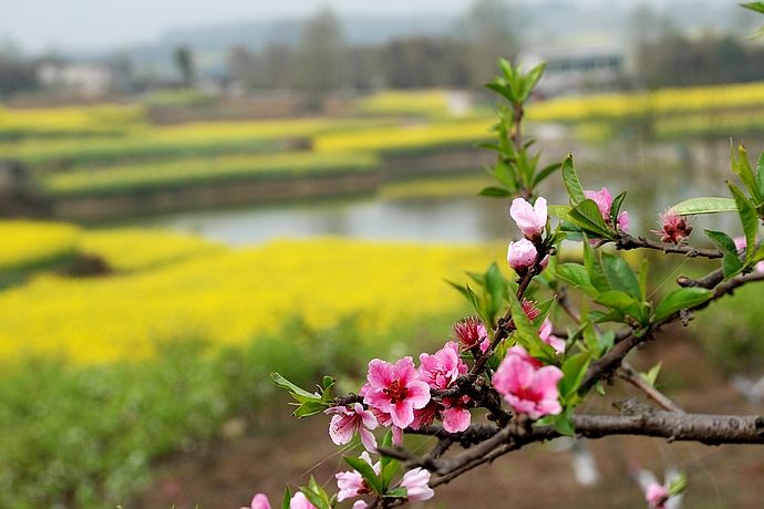 我给了你四季的风景，你还在意春花秋月吗？