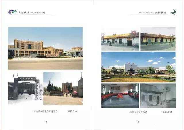 杨凌和杨陵什么关系,杨凌高凤香老师