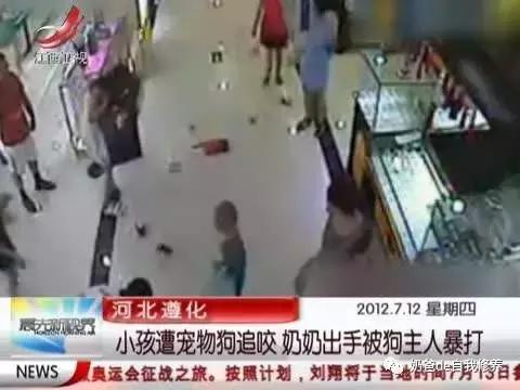 遛狗不牵绳狗害怕,遇到不戴牵引绳的狗怎么处理