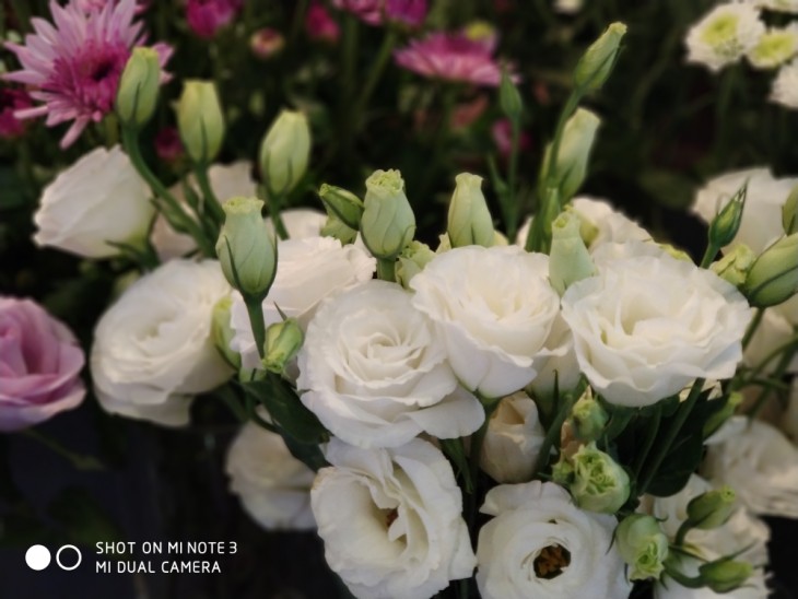 高颜值的拍照旗舰小米Note3拍照以及性能到底如何?