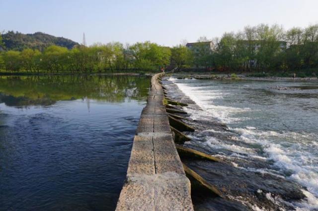大梦初醒古诗视频,大梦初醒的古诗