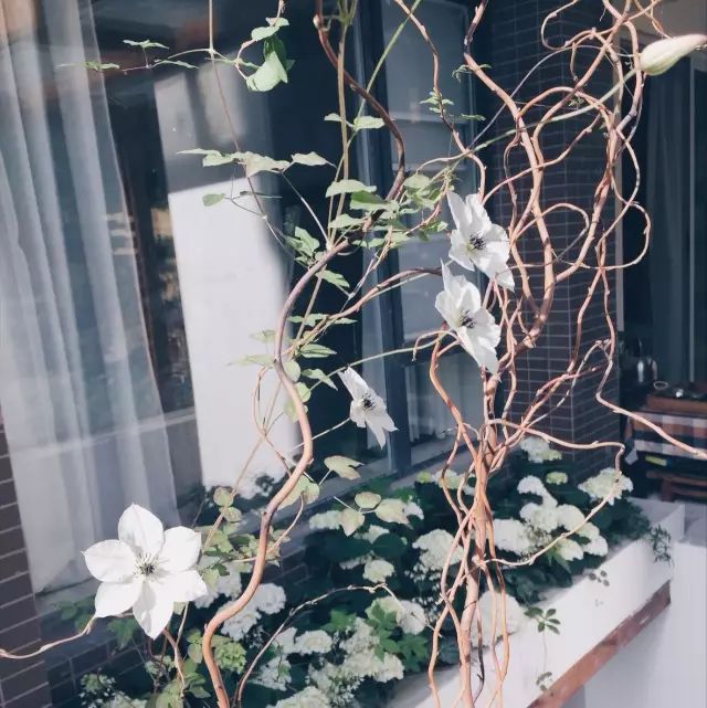 拥有后宫”佳丽三千“的设计师大叔告诉你：什么是美｜手作之美