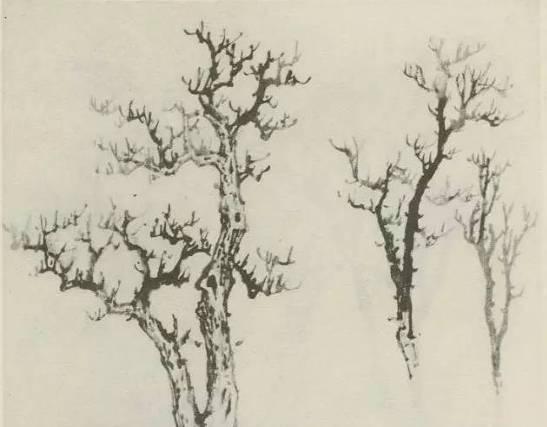 山水画画树的教学视频,山水画基础画树技法合集