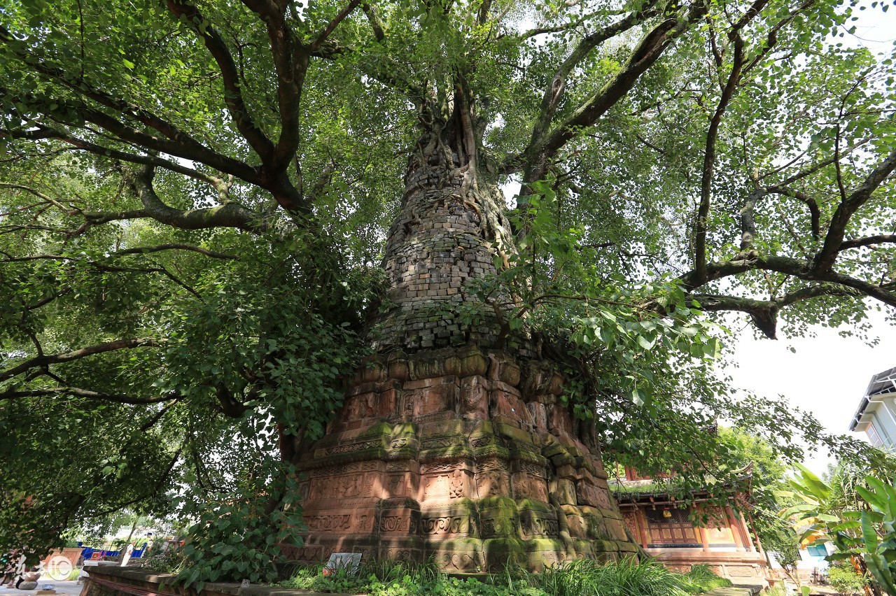 商道精髓深度悟道,商道讲人性