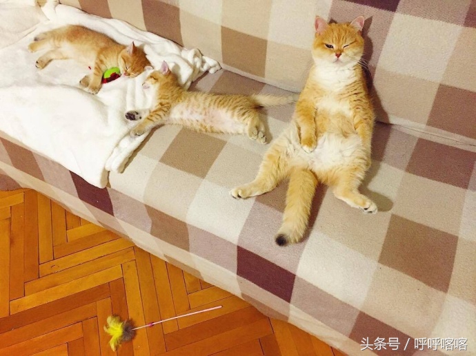 当科比遇到梅西,科比和梅西你会选择谁