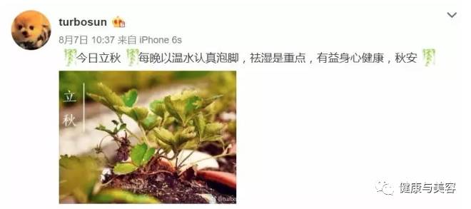 保养女性贴,保养贴有用吗