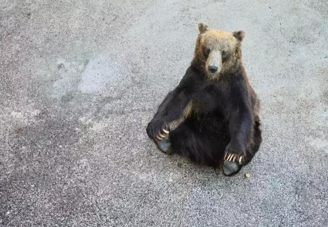 日本夏天治愈系风景北海道,夏天日本北海道之旅