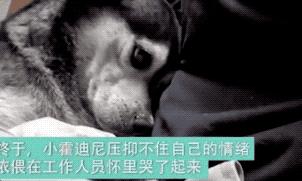 “谢谢你爱我，谢谢你一直都在”看完泪奔！