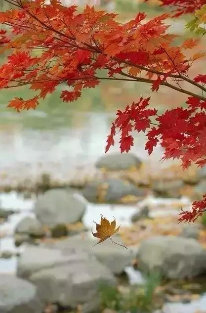 心中不缺为富被人所需为贵,心中无缺即为富被人需要即为贵