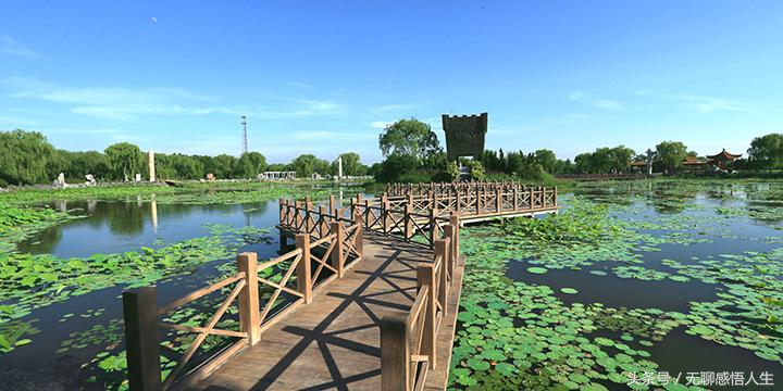 百强县级市寿光市,寿光百强县