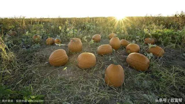 大学生在学校有什么好的创业,大学创业原来这么简单