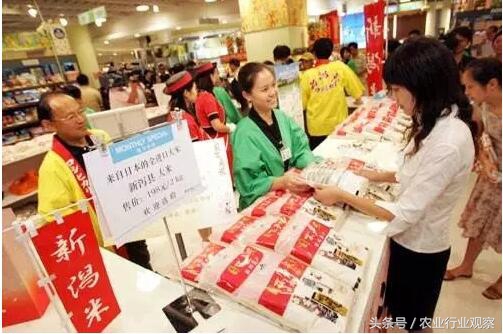 中国农业优质稻谷销售价,质量好的日本大米