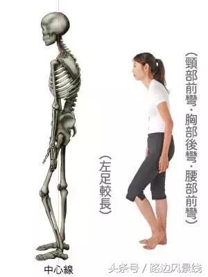 骨架平衡整脊术价目表,骨架平衡手法