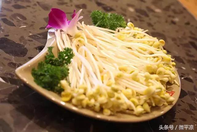 平凉资讯！入秋的微寒，配上这个火锅会更好哦！