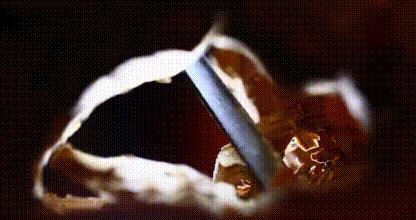 鍔虫柉鑾辨柉鏈ㄩ洉閫犱环,鏈ㄩ洉鍔虫柉鑾辨柉瑙嗛