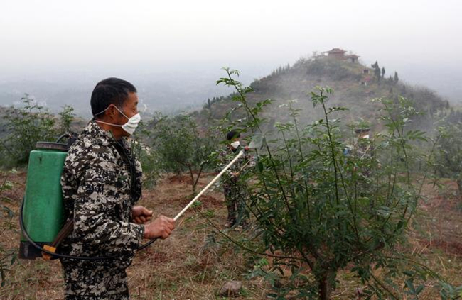 花椒树的病虫害防治,花椒栽培技术与病虫害防治图谱