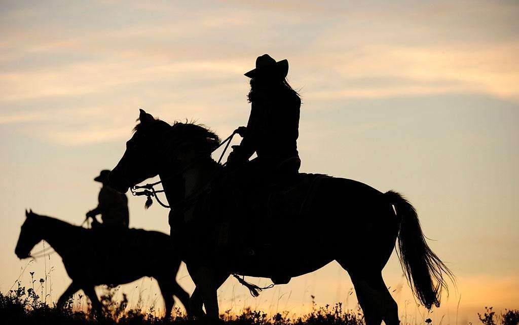 写作方法如何进行人物语言描写,用语言动作描写写一个人物