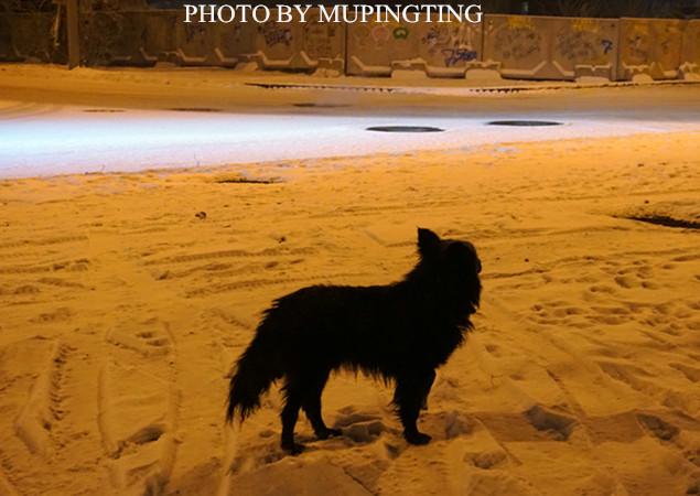 俄罗斯人的彪悍行为,俄罗斯人的性格有多彪悍