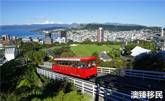 上海阿姨出国打理,普通人怎样移民新西兰