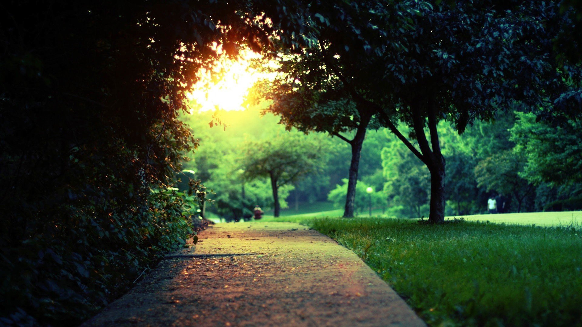 上课老是犯困怎么办教我一招,上课老是打瞌睡有什么解决办法