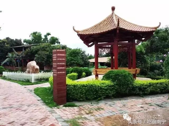 南宁十大最美农家乐推荐,南宁周边烧烤野炊前十排行