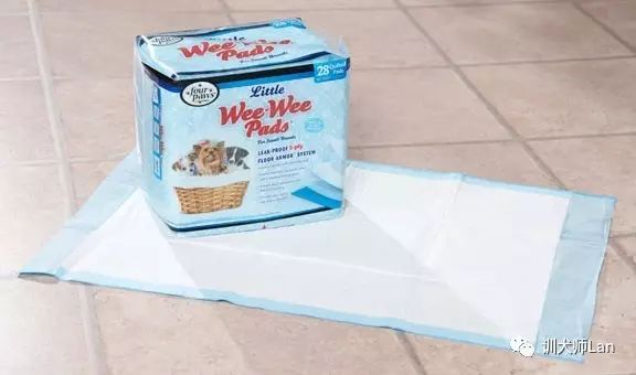 狗狗做了绝育手术还会来月经吗,狗狗做绝育手术好还是不做绝育好