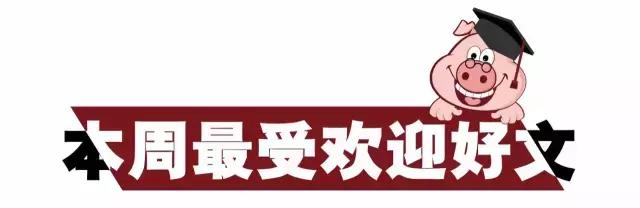 巨钻多少钱一颗,巨钻