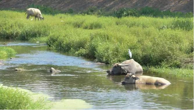 浙江深山一世外桃源般村庄,浙江桐庐江南第一村
