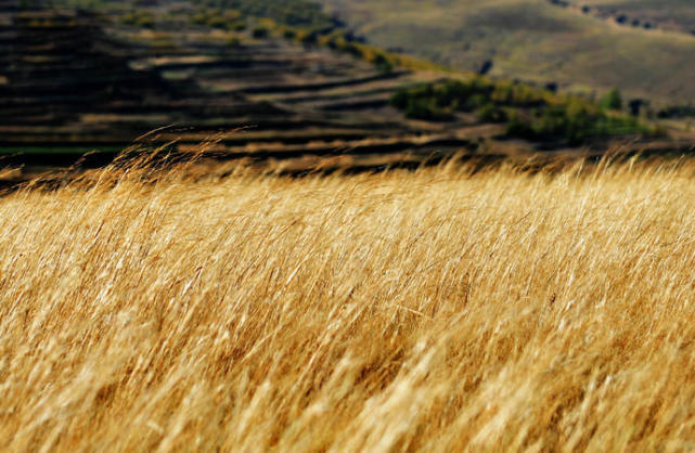 耗资3.2亿的中国66号公路也被称为把妹公路