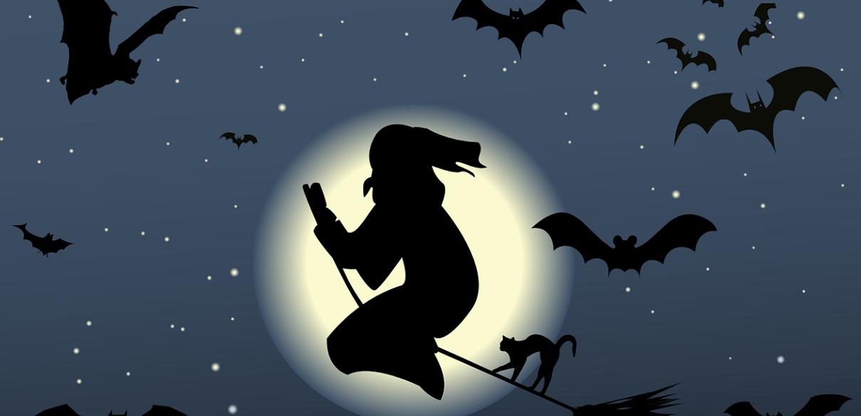 君君成长之路,君君自媒体创业之路