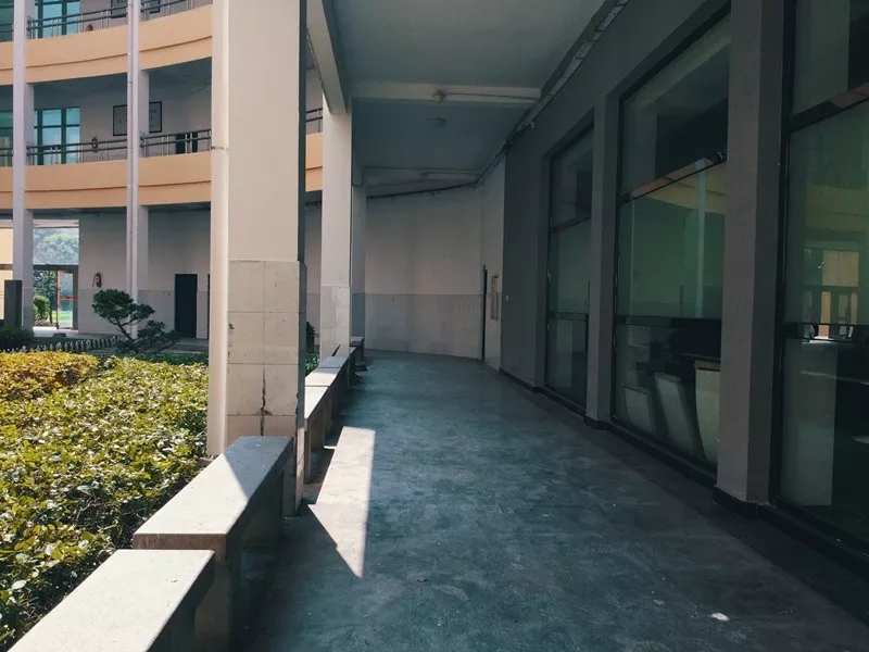 九江六中好不好,好久不见六月