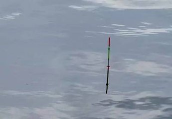 常见的漂相,十种常见的漂相图解