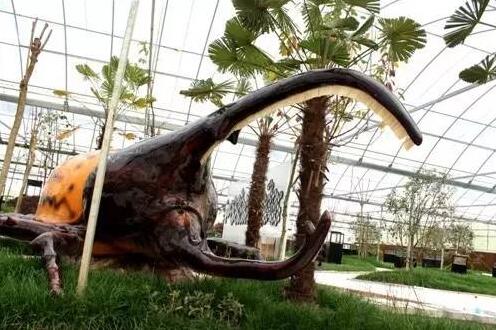 合肥瓜牛公园丛林探险,合肥瓜牛公园到底好不好玩