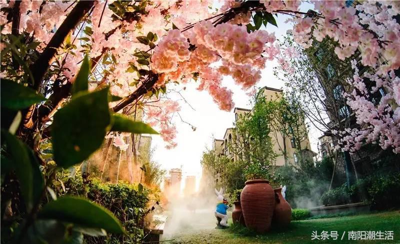 百鸟展门票,百鸟展门票早鸟票