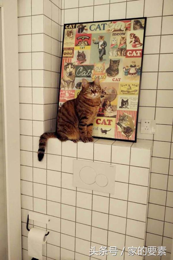 60平小家过出顶级的幸福感,唐长老和玉兔精的没羞没臊日常