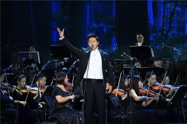 哈嗲！120000㎡一眼望去全是绿！全上海唯一森林音乐会免费赠票啦