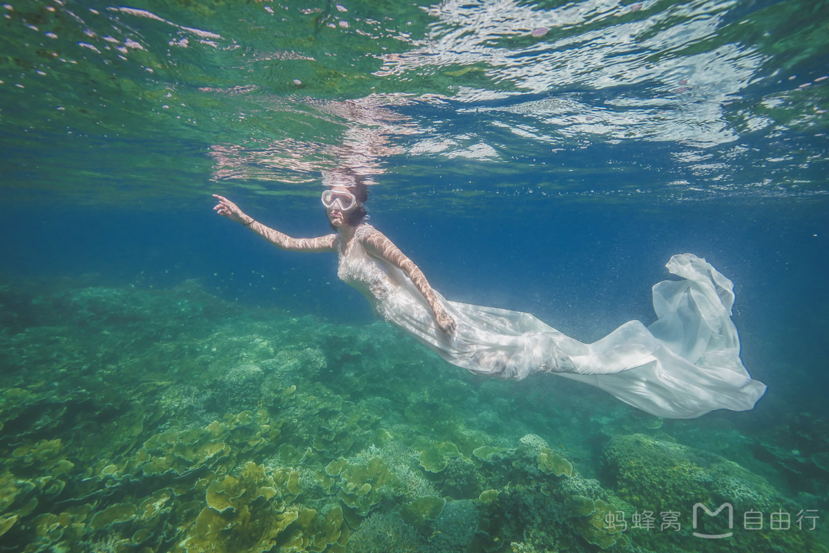 帕劳出海攻略,帕劳旅行攻略图文大全