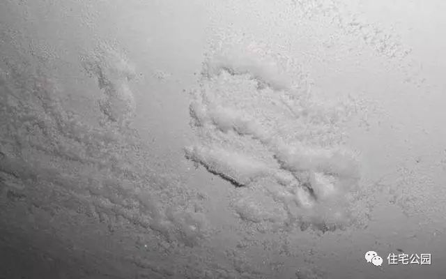 乳胶漆墙面返碱起皮怎样修补,为什么我住的房子很容易发霉