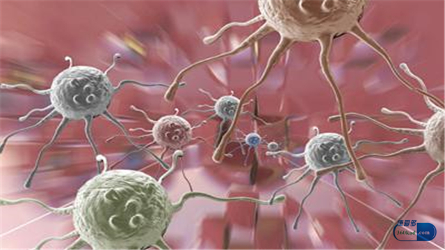 小康说药:转移因子口服溶液对肿瘤治疗的具体功效是什么?