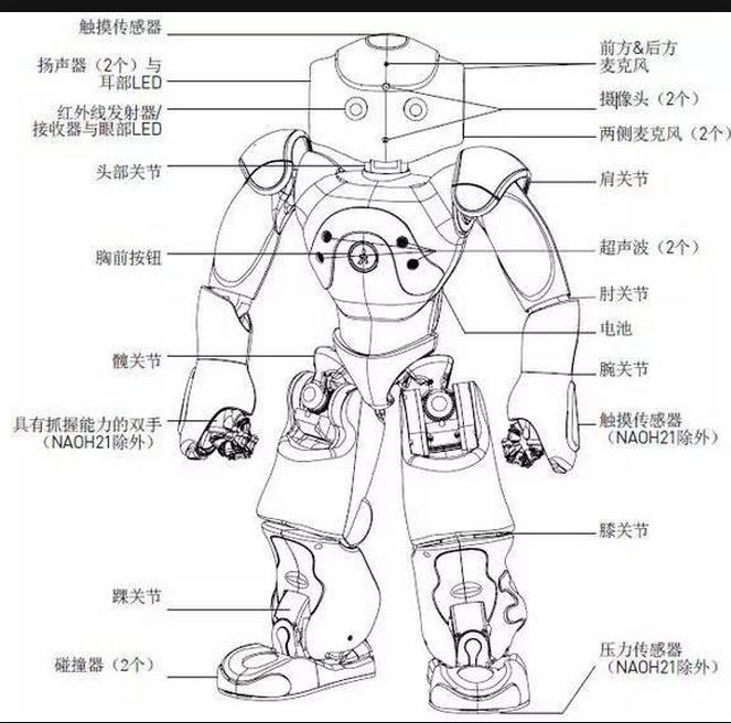 工业机器人2024年趋势分析,机器人技术行业分析