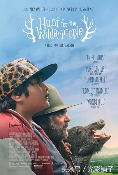 推荐6部最冷门的高分喜剧片,近几年来评分比较高的喜剧片