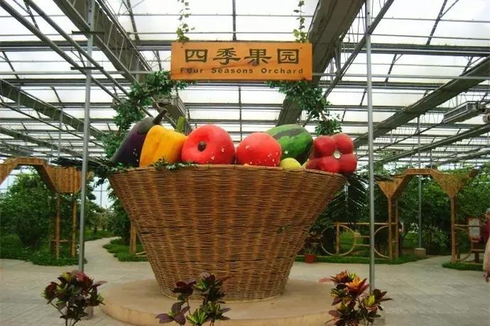 藁城为何突然发展起来了,藁城以后的发展