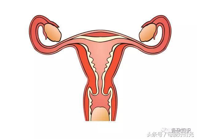 月经量少怕影响怀孕要做哪些检查,月经量少只来两天对怀孕有影响吗