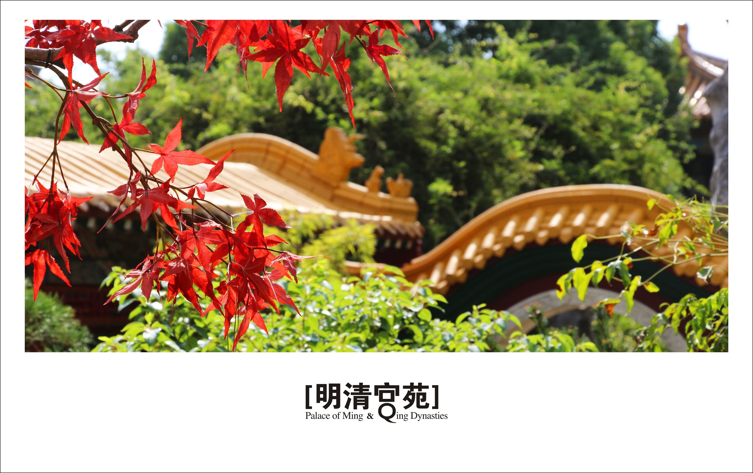 明星里的健身达人,盘点那些颜值超高的健身达人