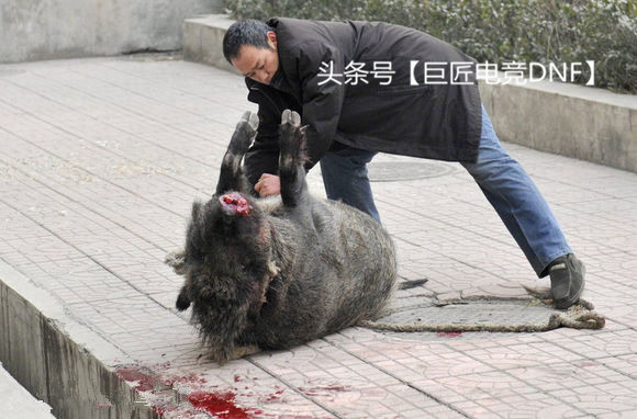 dnf最悲惨的使徒安图恩,dnf12个使徒实力排名