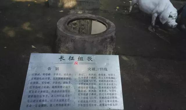 深圳求水山龙之谷公园,深圳欢乐谷公园门票