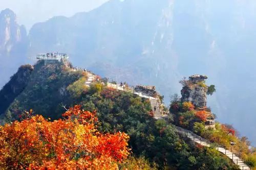 秦皇岛秋景最好的地方 (秦皇岛周边十月赏秋色的地方)