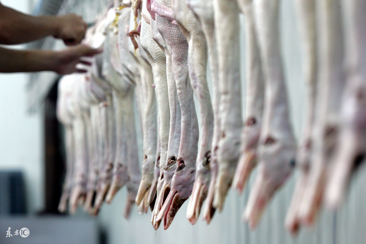 为什么毒素排不出来,为什么身体毒素多